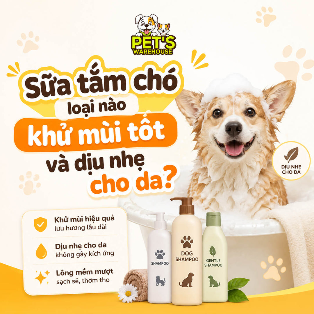 Sữa tắm chó loại nào khử mùi tốt và dịu nhẹ cho da?