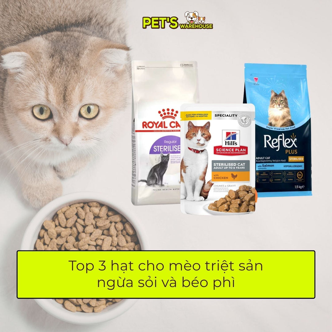 Top 3 hạt cho mèo triệt sản ngừa sỏi và béo phì