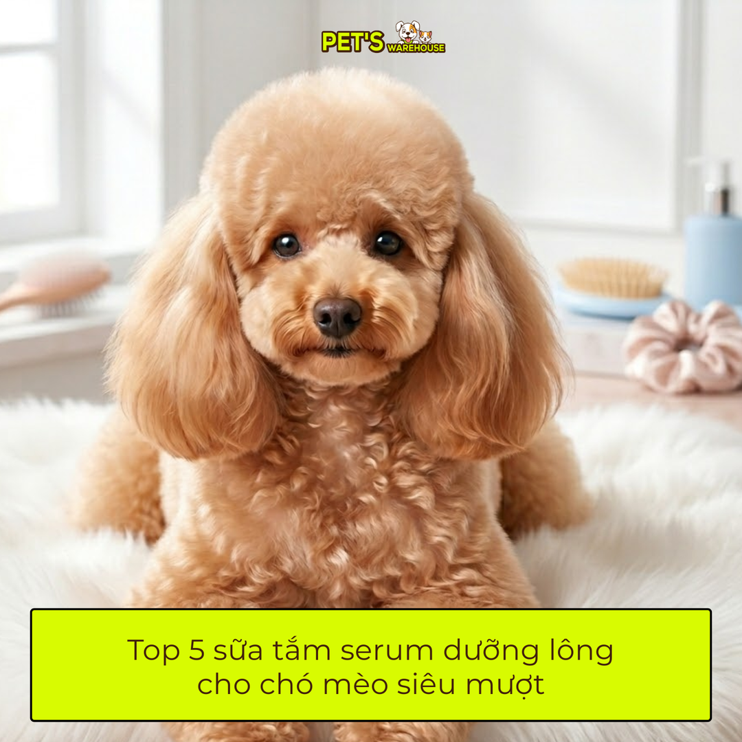Top 5 sữa tắm serum dưỡng lông cho chó mèo siêu mượt