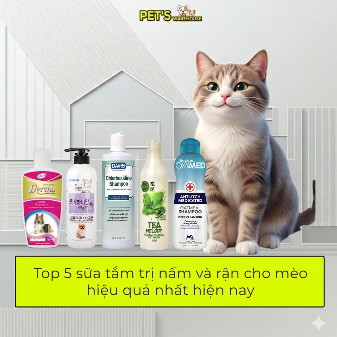 sua-tam-nuoc-hoa-duong-long-da-cho-meo-pets-warehouse