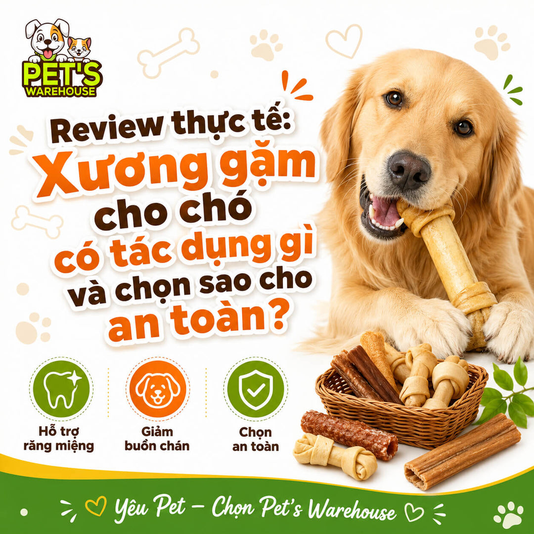 Review thực tế: Xương gặm cho chó có tác dụng gì và chọn sao cho an toàn?