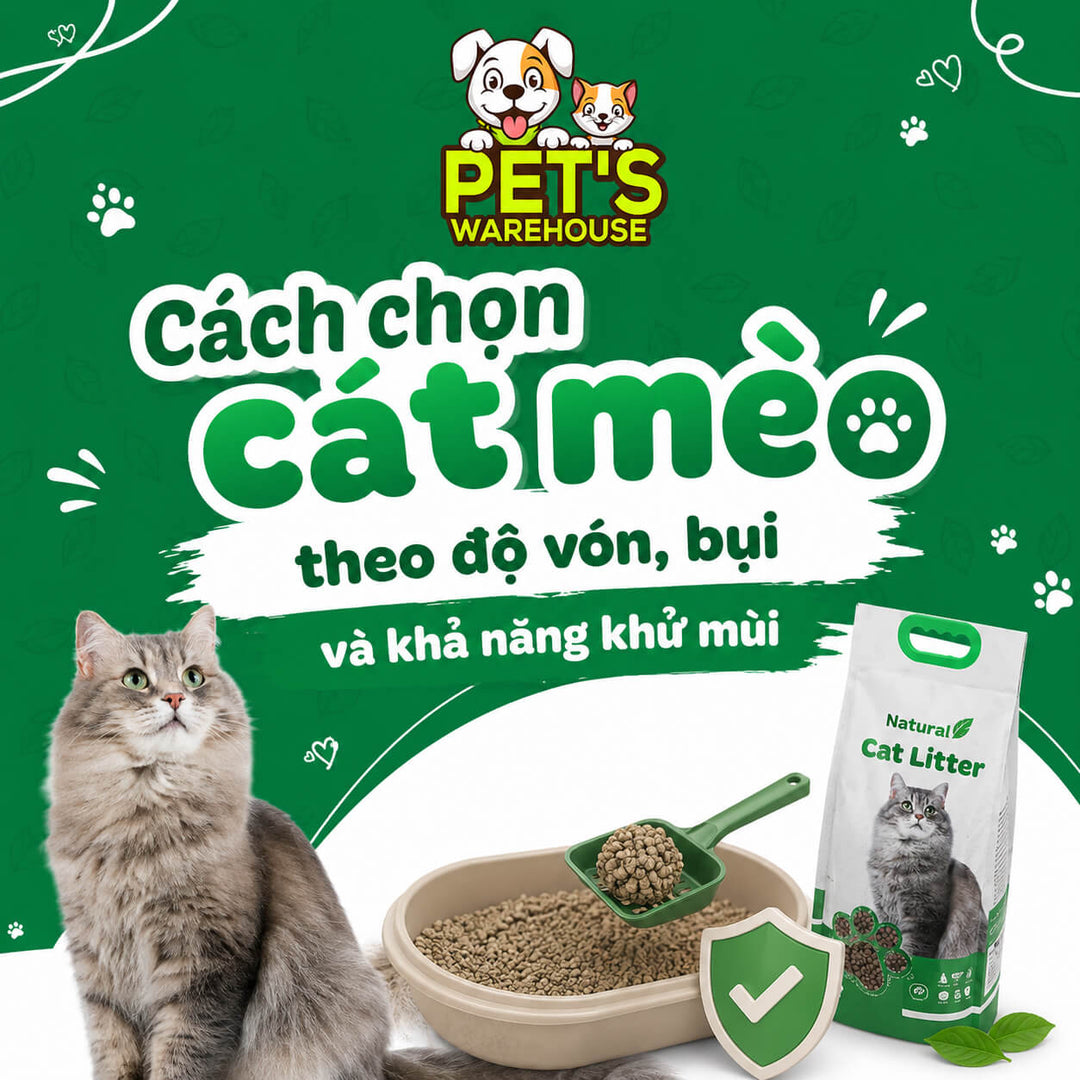 Cách chọn cát mèo theo độ vón, bụi và khả năng khử mùi
