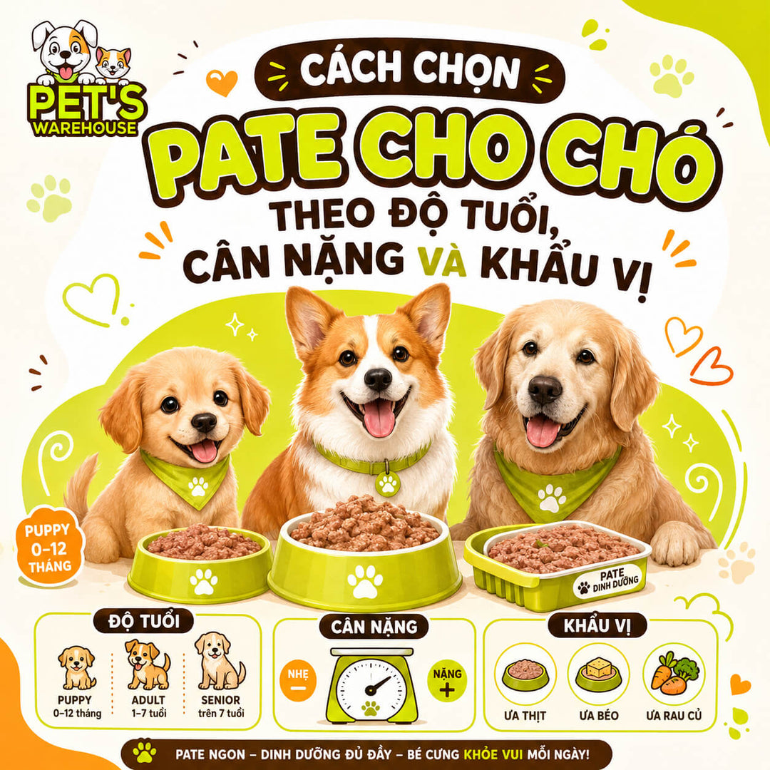 Cách chọn pate cho chó theo độ tuổi, cân nặng và khẩu vị