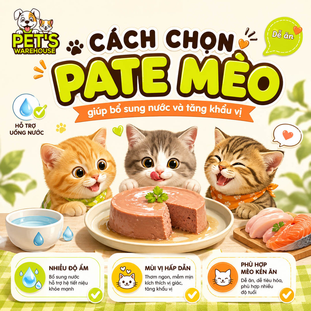Cách chọn pate mèo giúp bổ sung nước và tăng khẩu vị