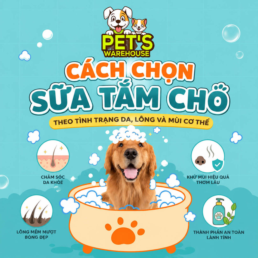 Cách Chọn Sữa Tắm Chó Theo Tình Trạng Da, Lông Và Mùi Cơ Thể