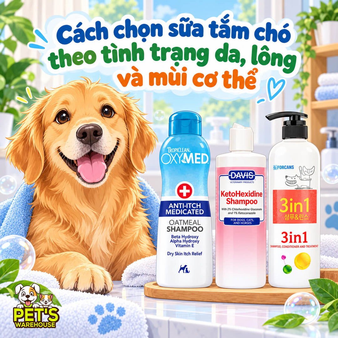 Cách chọn sữa tắm chó theo tình trạng da, lông và mùi cơ thể