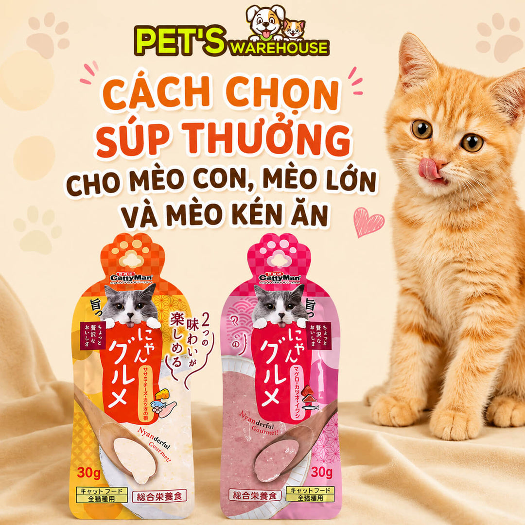 Cách Chọn Súp Thưởng Cho Mèo Con, Mèo Lớn Và Mèo Kén Ăn