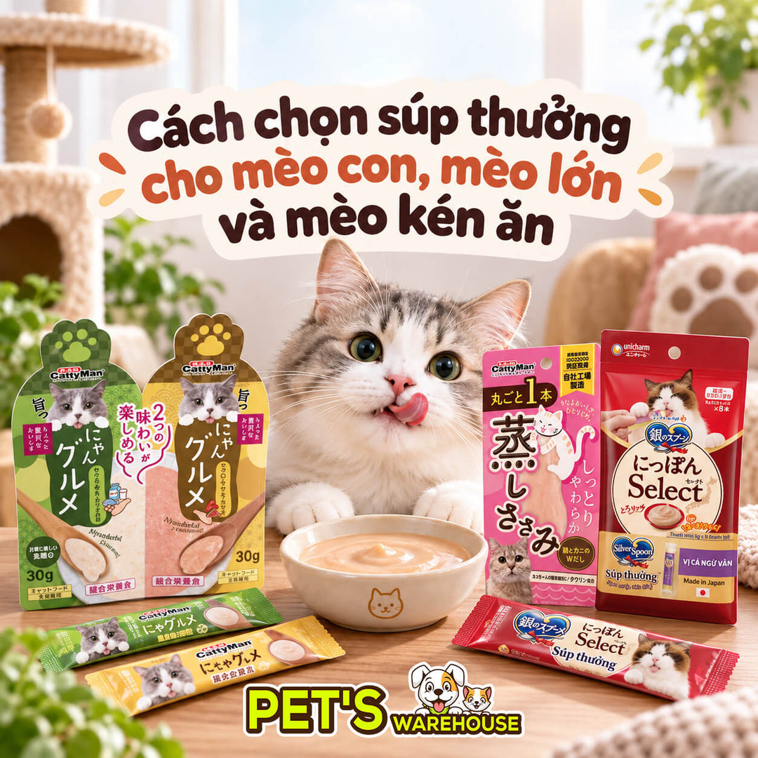 cach-chon-sup-thuong-cho-meo-con-meo-lon-va-meo-ken-an