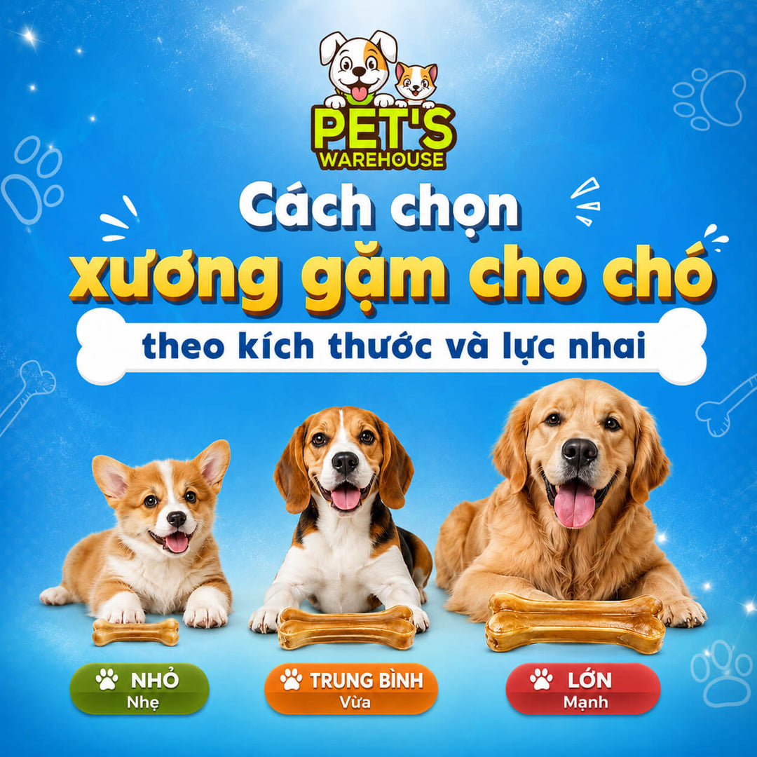 Cách Chọn Xương Gặm Cho Chó Theo Kích Thước Và Lực Nhai