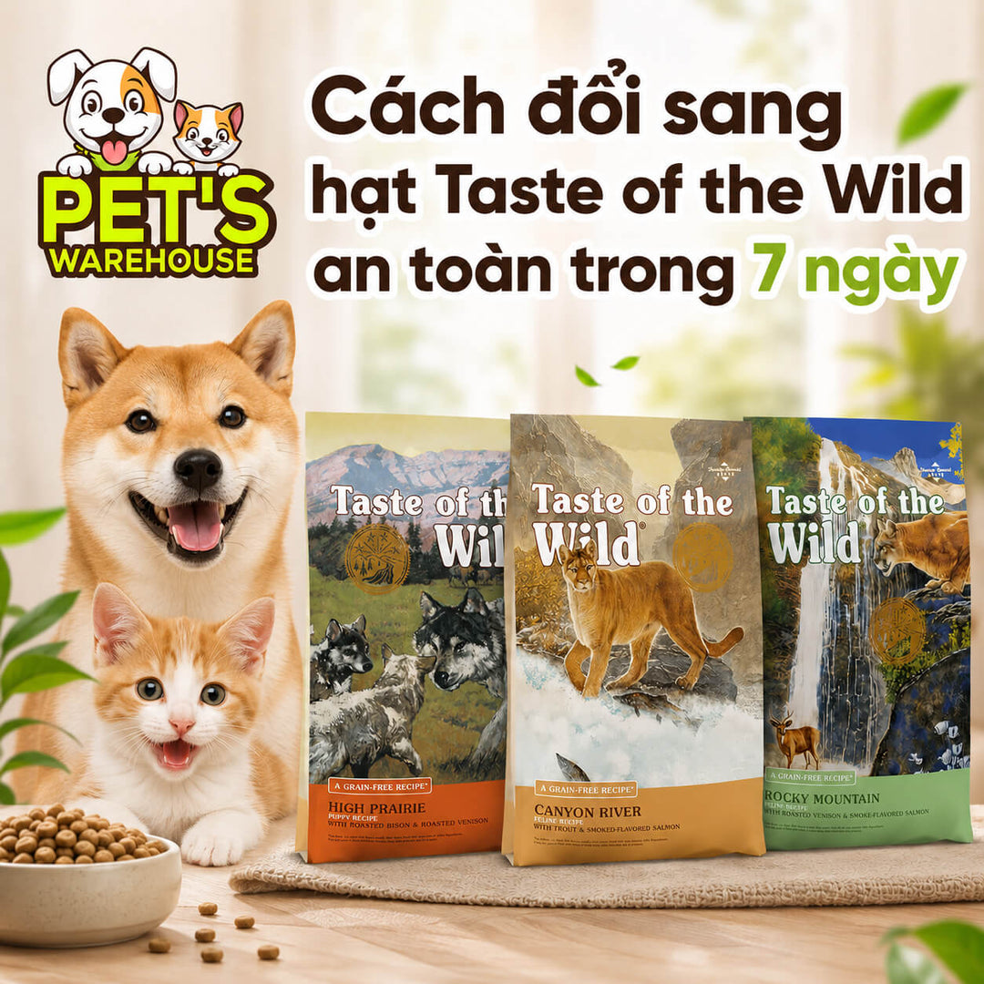 Cách đổi sang hạt Taste of the Wild an toàn trong 7 ngày