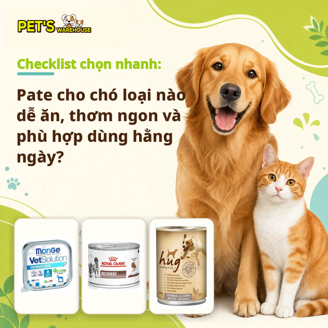 Checklist chọn nhanh: Pate cho chó loại nào dễ ăn, thơm ngon và phù hợp dùng hằng ngày?