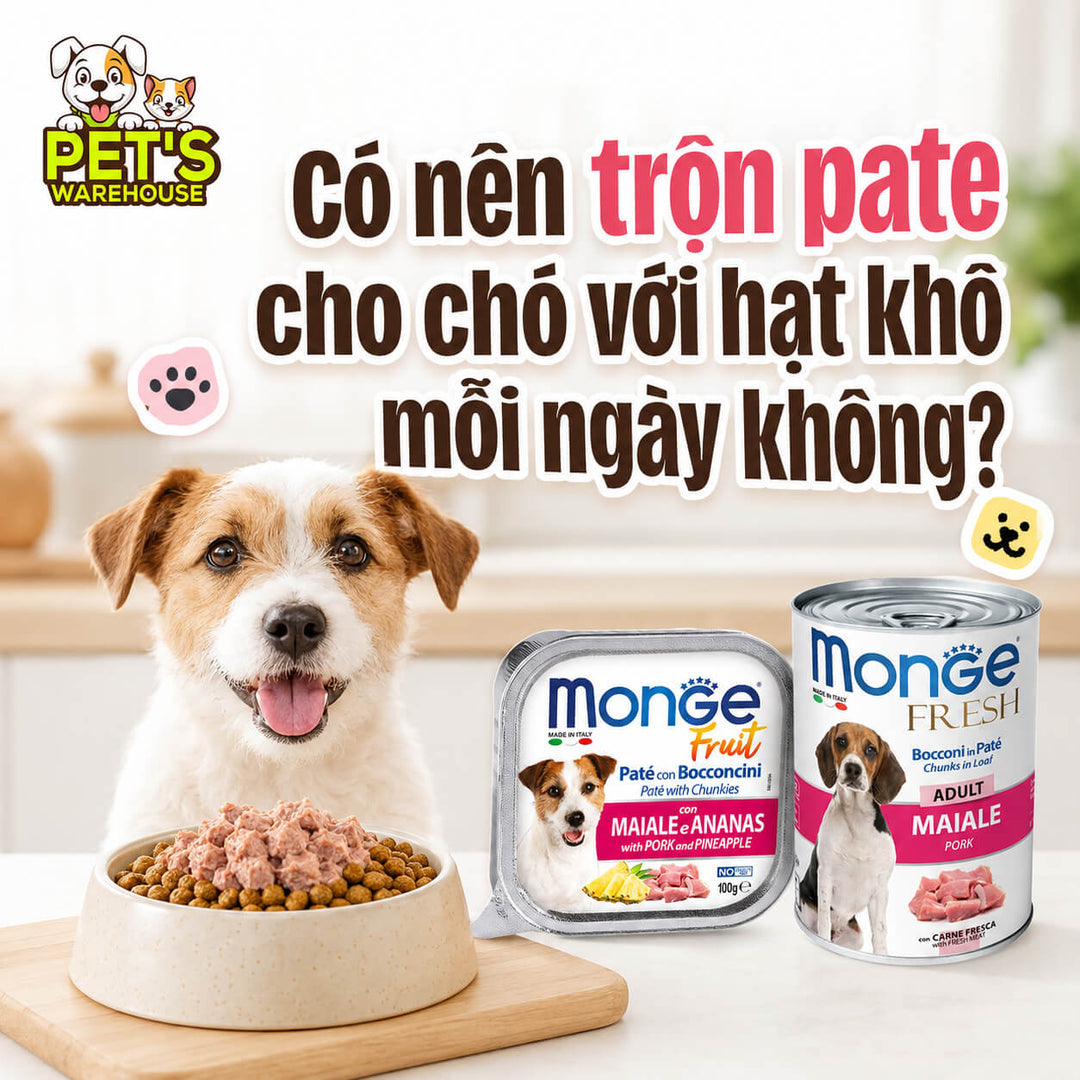 Có nên trộn pate cho chó với hạt khô mỗi ngày không?