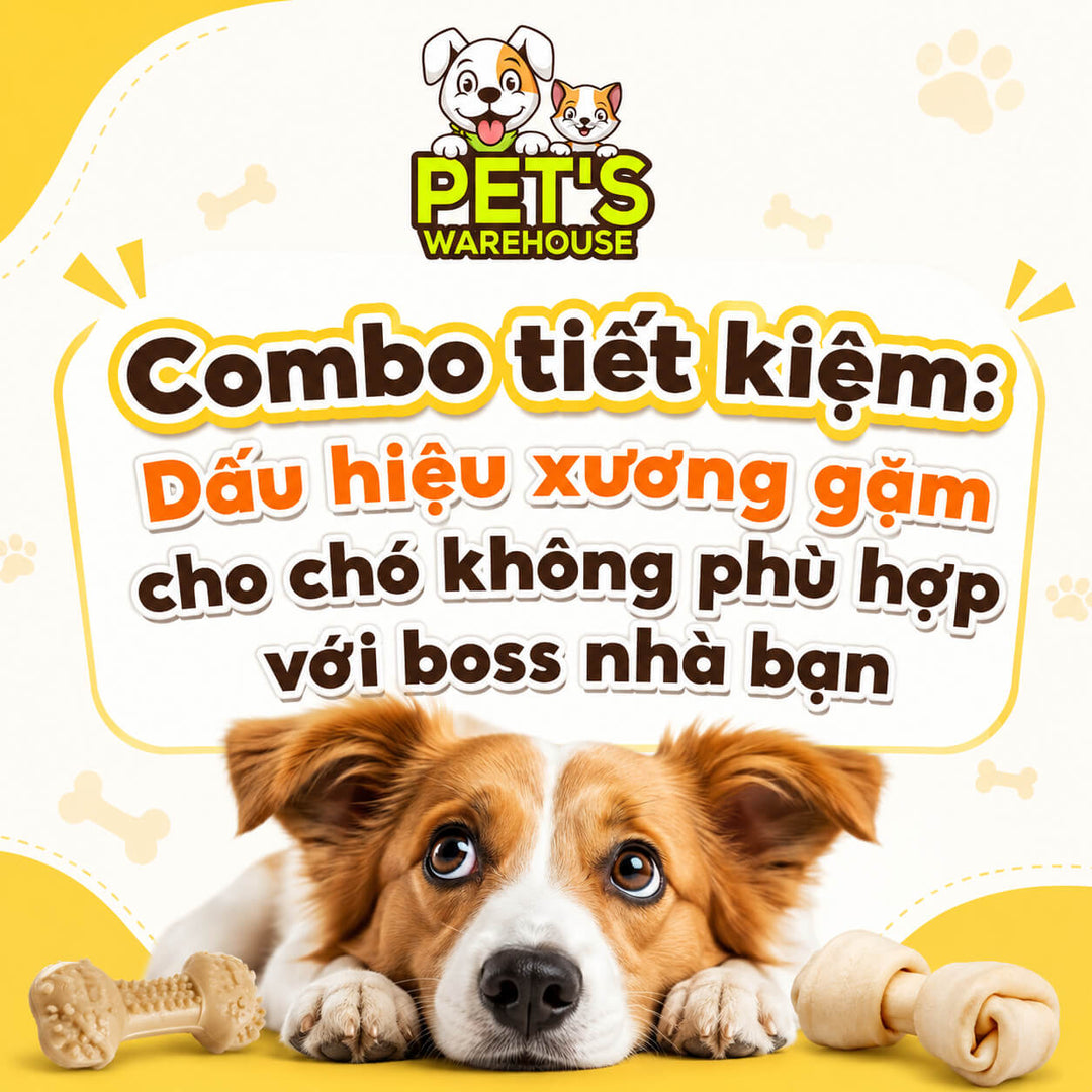 Combo tiết kiệm: Dấu hiệu xương gặm cho chó không phù hợp với boss nhà bạn
