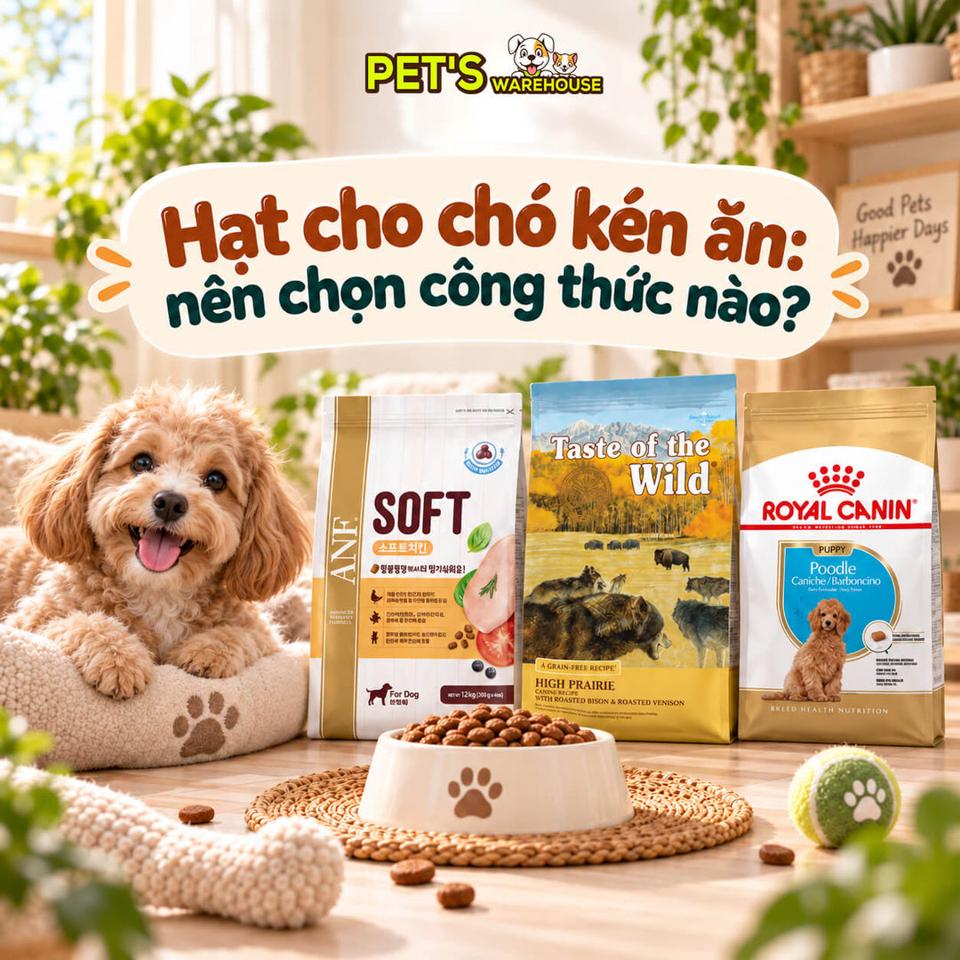 Hạt cho chó kén ăn: nên chọn công thức nào?
