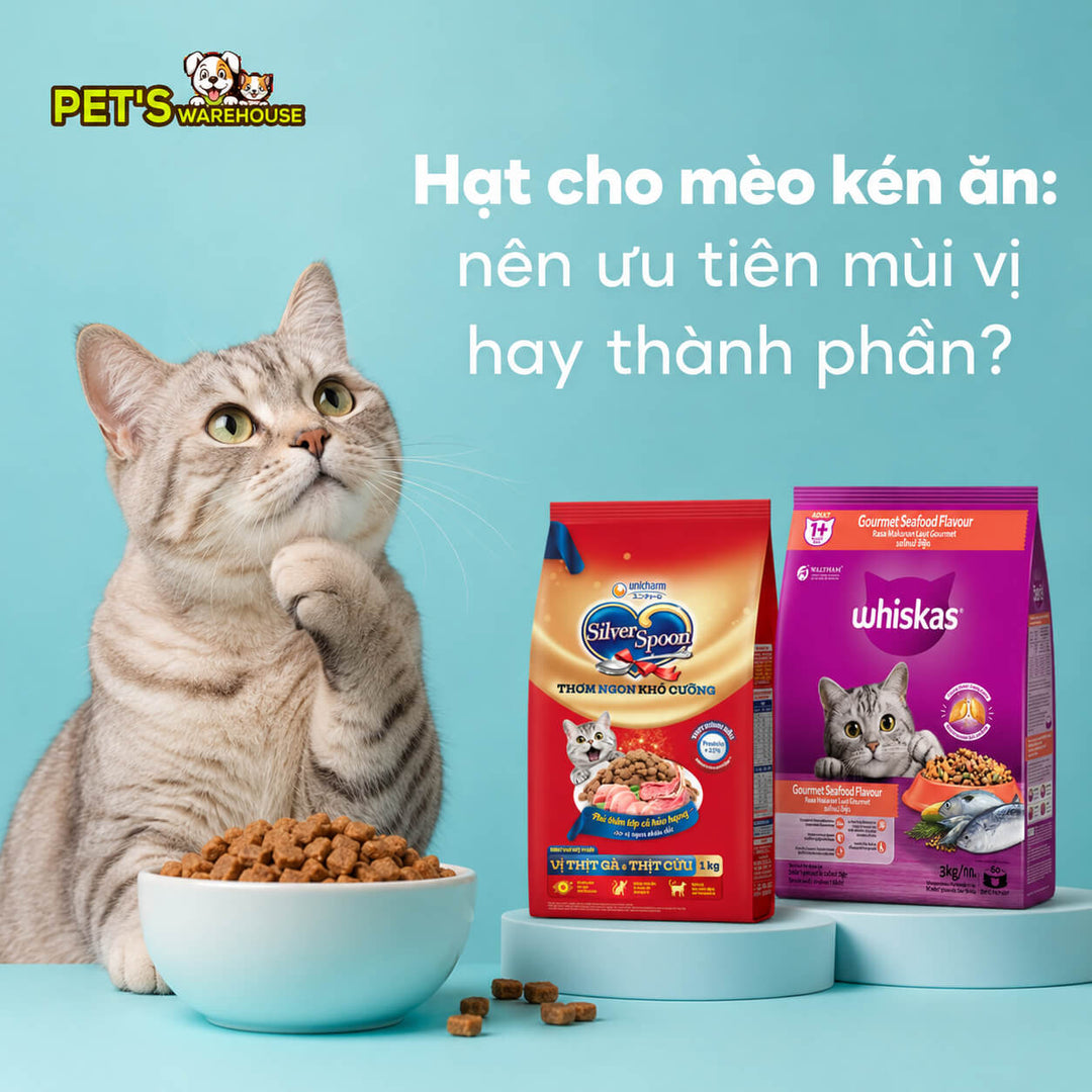 Hạt cho mèo kén ăn: nên ưu tiên mùi vị hay thành phần?