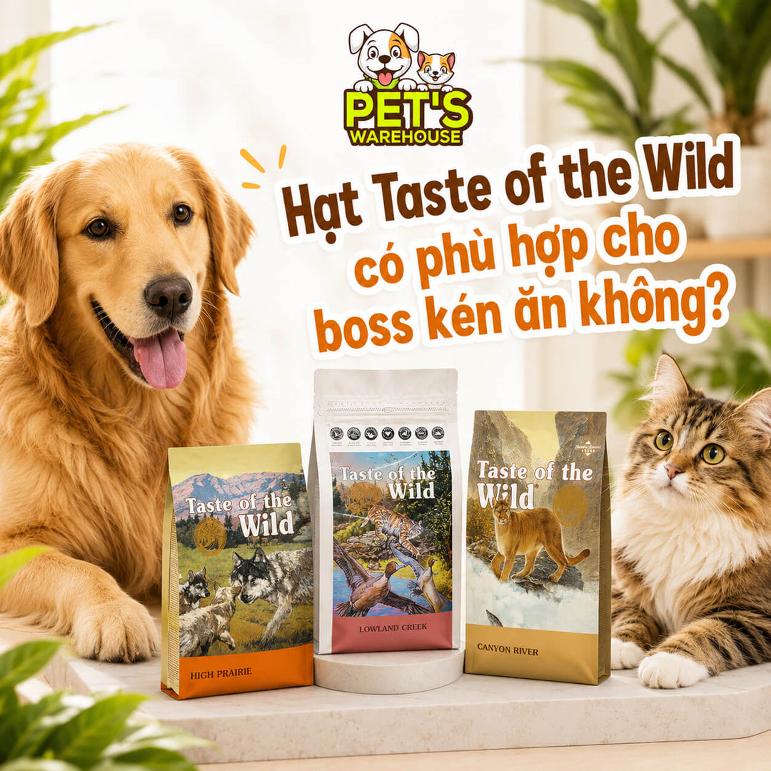 Hạt Taste of the Wild có phù hợp cho boss kén ăn không?