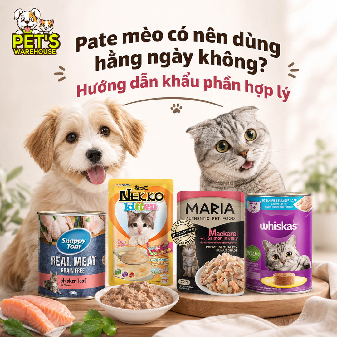 Pate mèo có nên dùng hằng ngày không? Hướng dẫn khẩu phần hợp lý