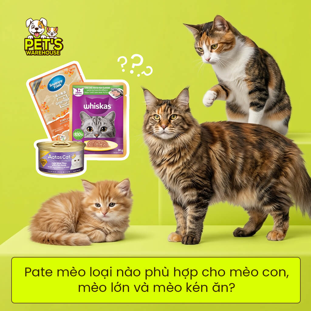 Pate mèo loại nào phù hợp cho mèo con, mèo lớn và mèo kén ăn?
