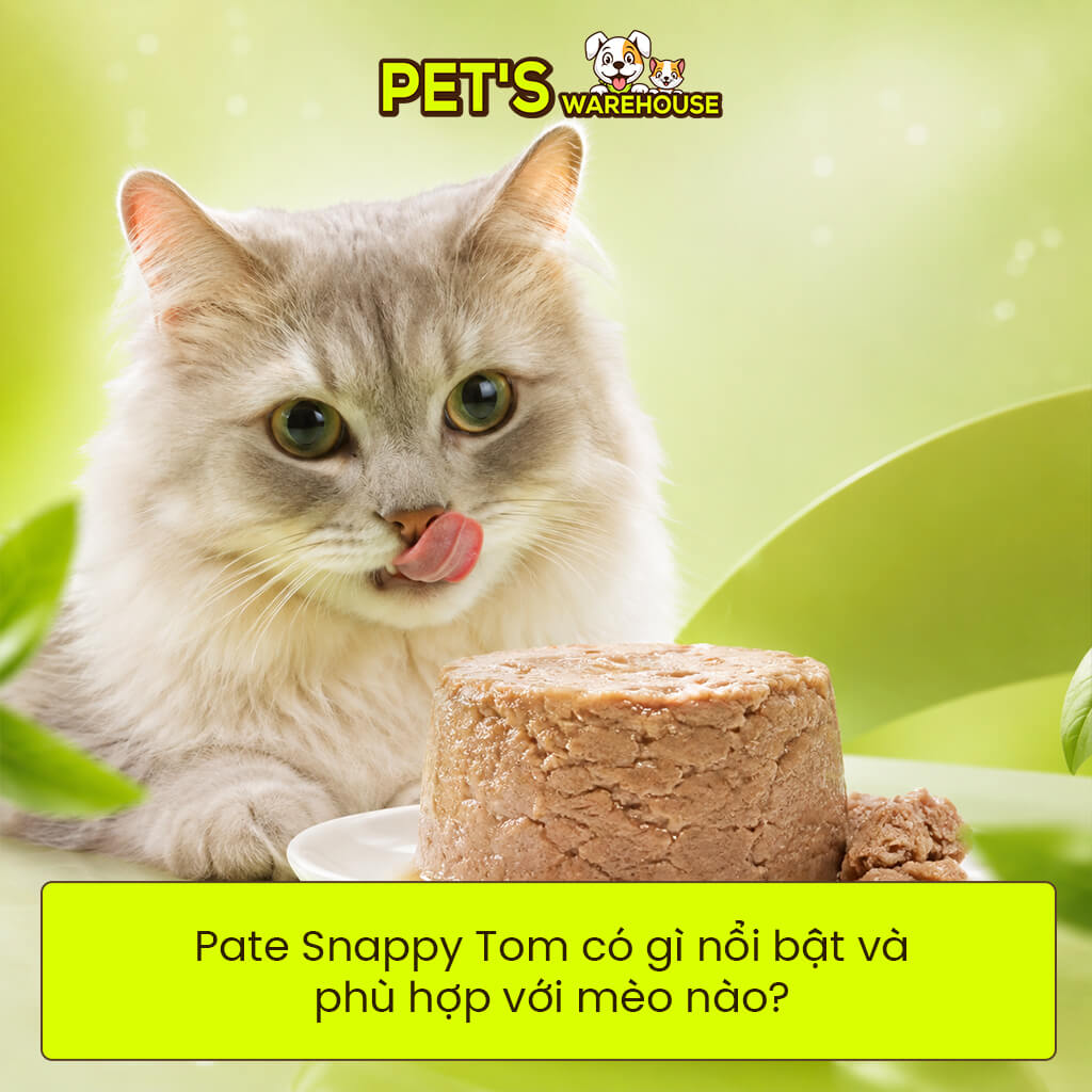 Pate Snappy Tom có gì nổi bật và phù hợp với mèo nào?