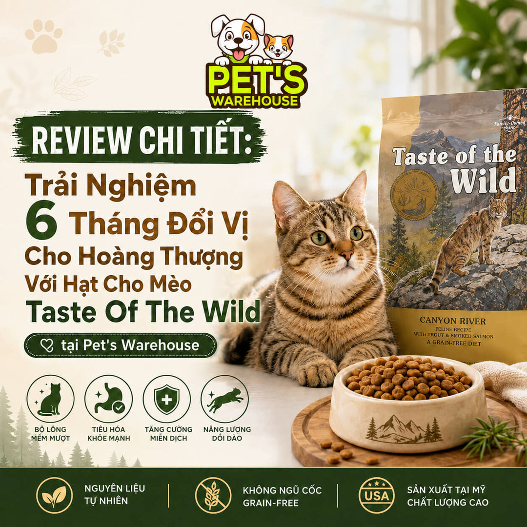 review-hat-cho-meo-taste-of-the-wild-pets-warehouse