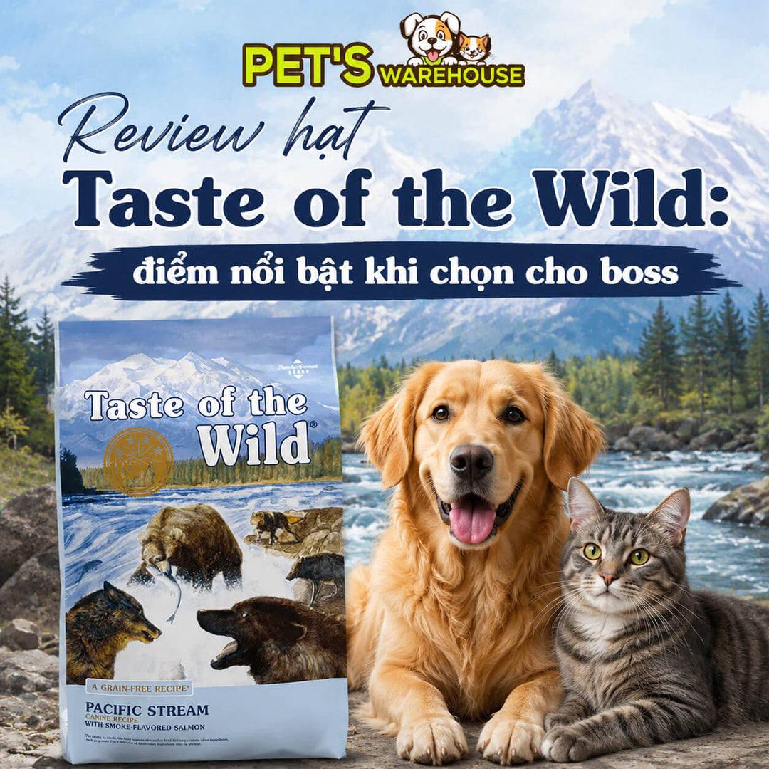 Review hạt Taste of the Wild: điểm nổi bật khi chọn cho boss