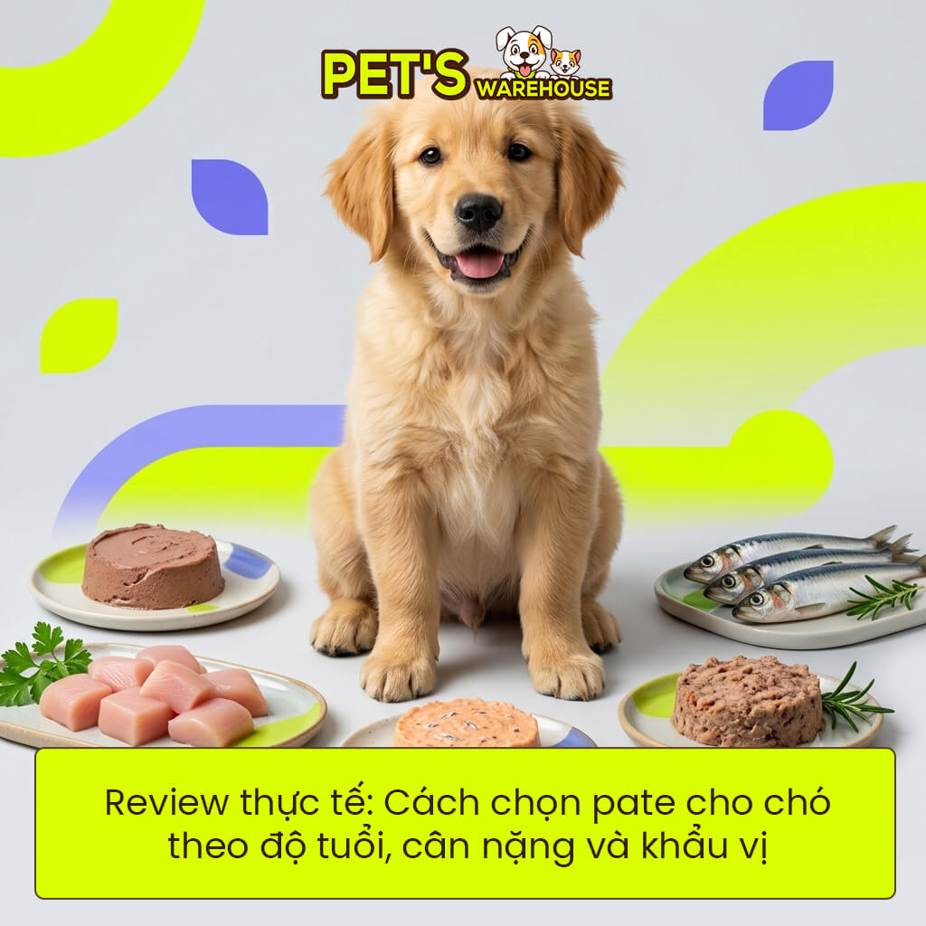 Review thực tế: Cách chọn pate cho chó theo độ tuổi, cân nặng và khẩu vị