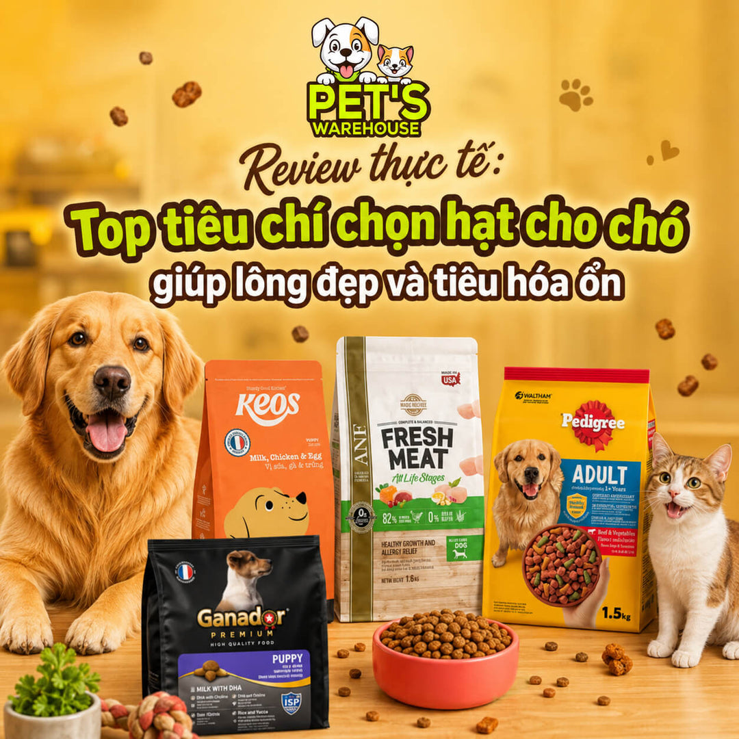 Review thực tế: Top tiêu chí chọn hạt cho chó giúp lông đẹp và tiêu hóa ổn