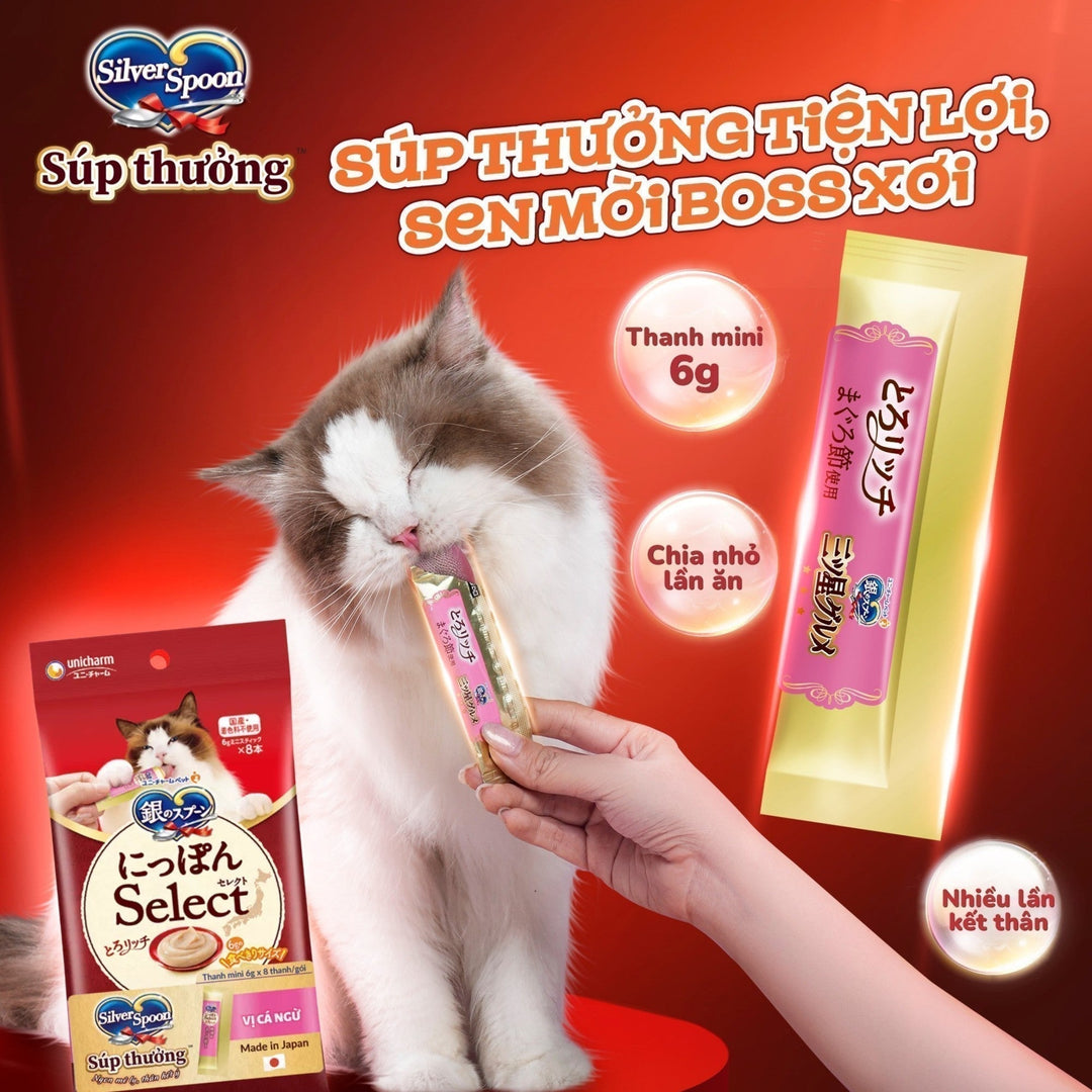 sup-thuong-cho-meo-pets-warehouse