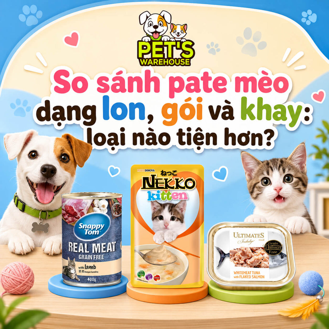 So sánh pate mèo dạng lon, gói và khay: loại nào tiện hơn?