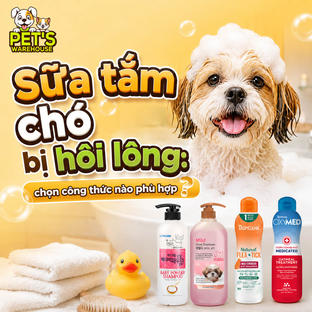 Sữa tắm chó bị hôi lông: chọn công thức nào phù hợp?