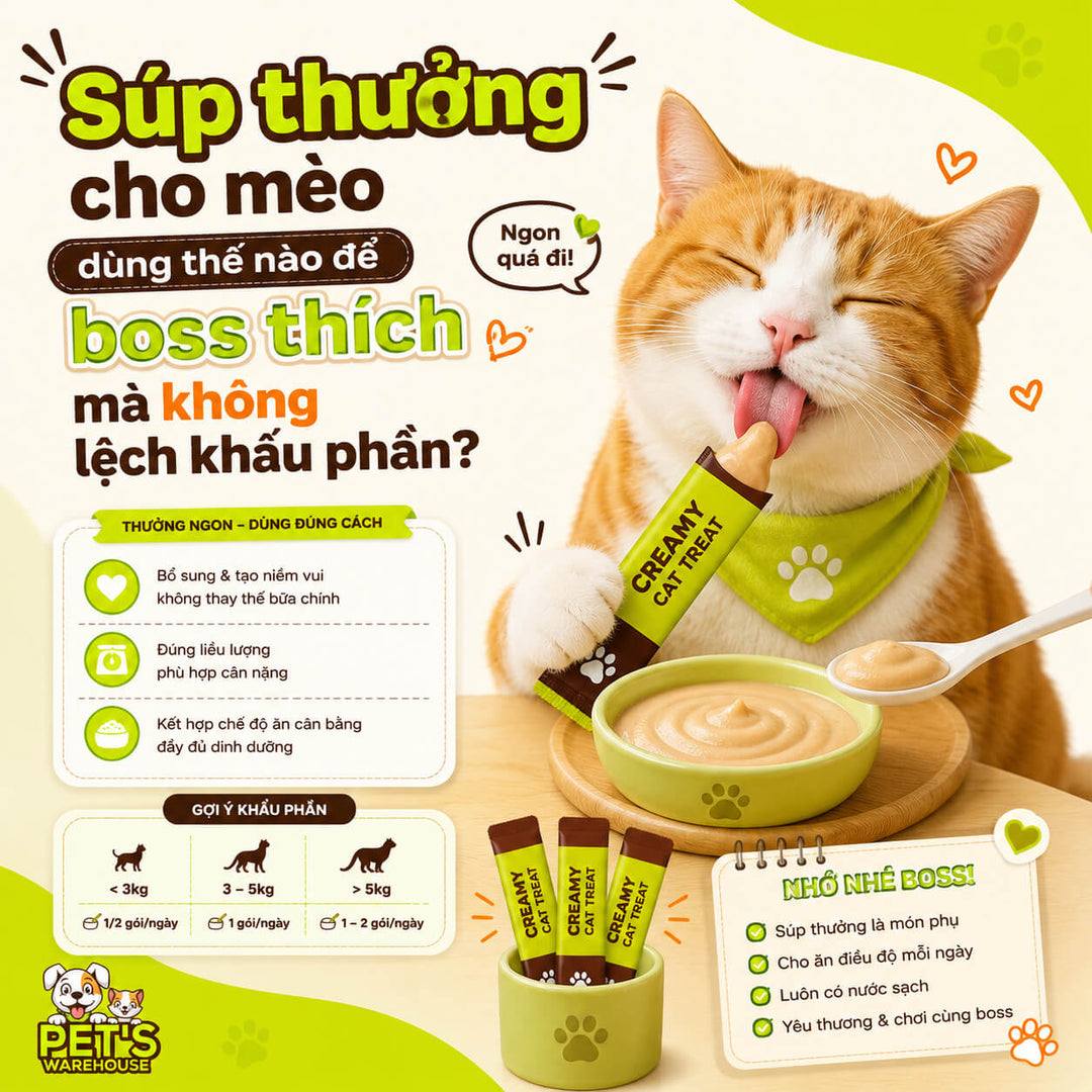 Súp thưởng cho mèo dùng thế nào để boss thích mà không lệch khẩu phần?
