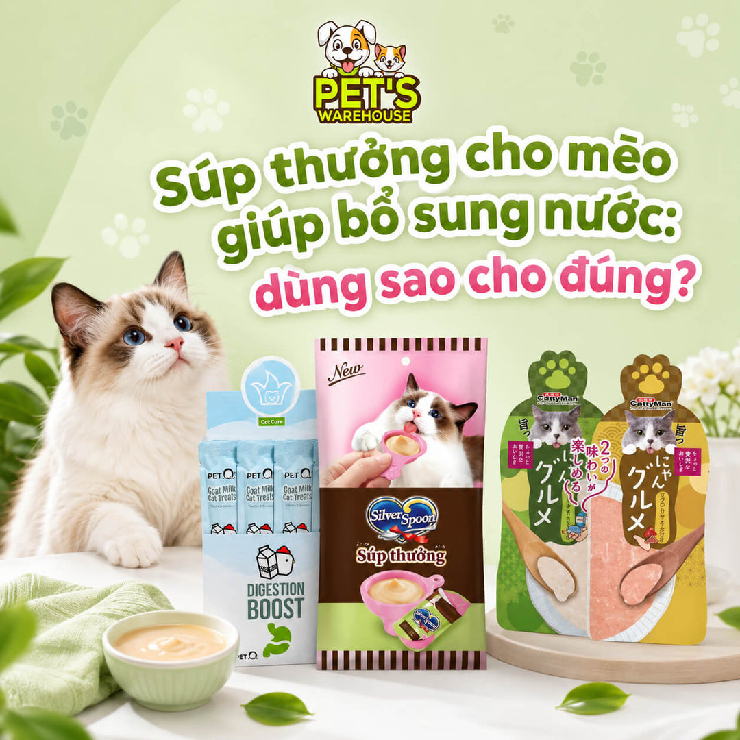 Súp thưởng cho mèo giúp bổ sung nước: dùng sao cho đúng?