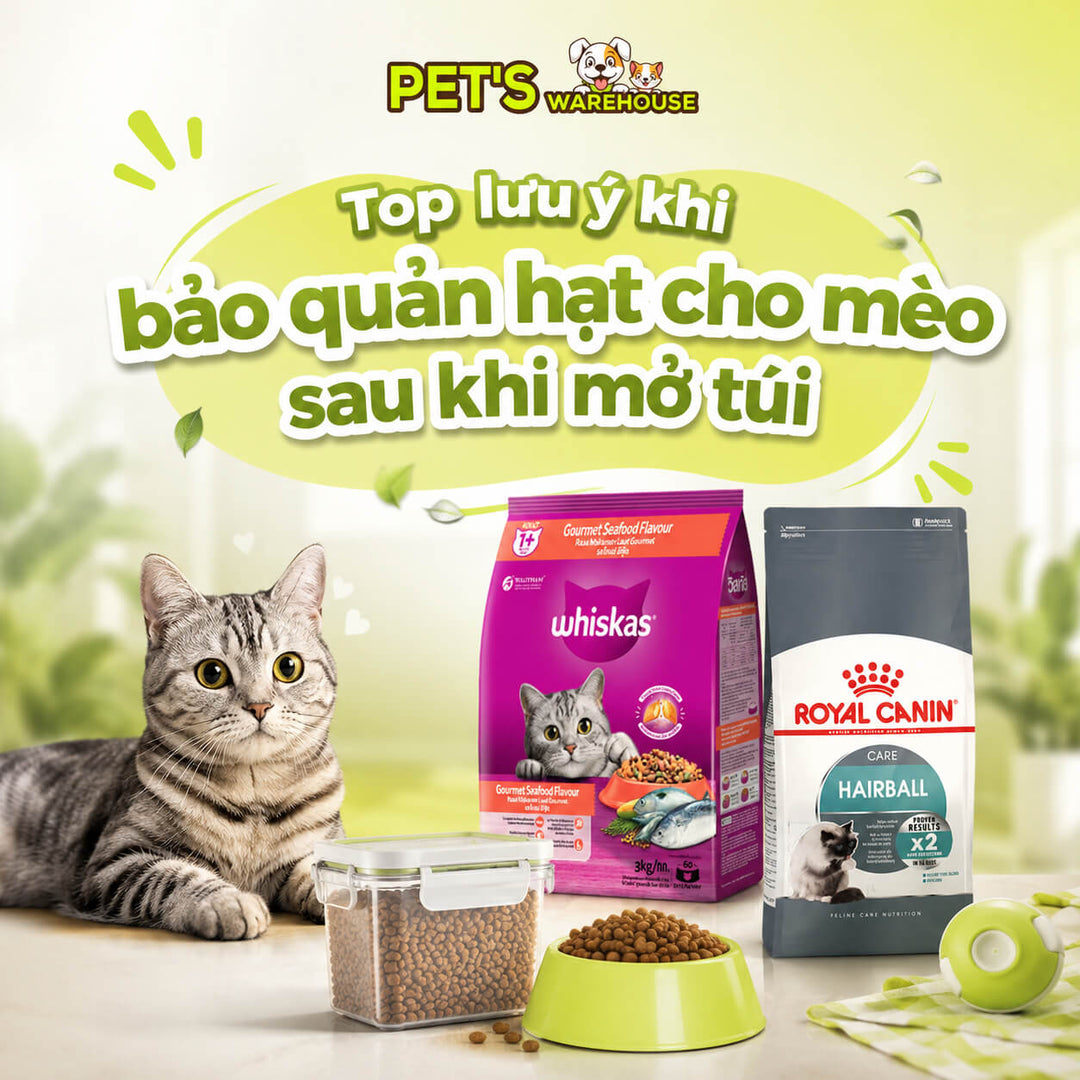 Top lưu ý khi bảo quản Hạt cho mèo sau khi mở túi
