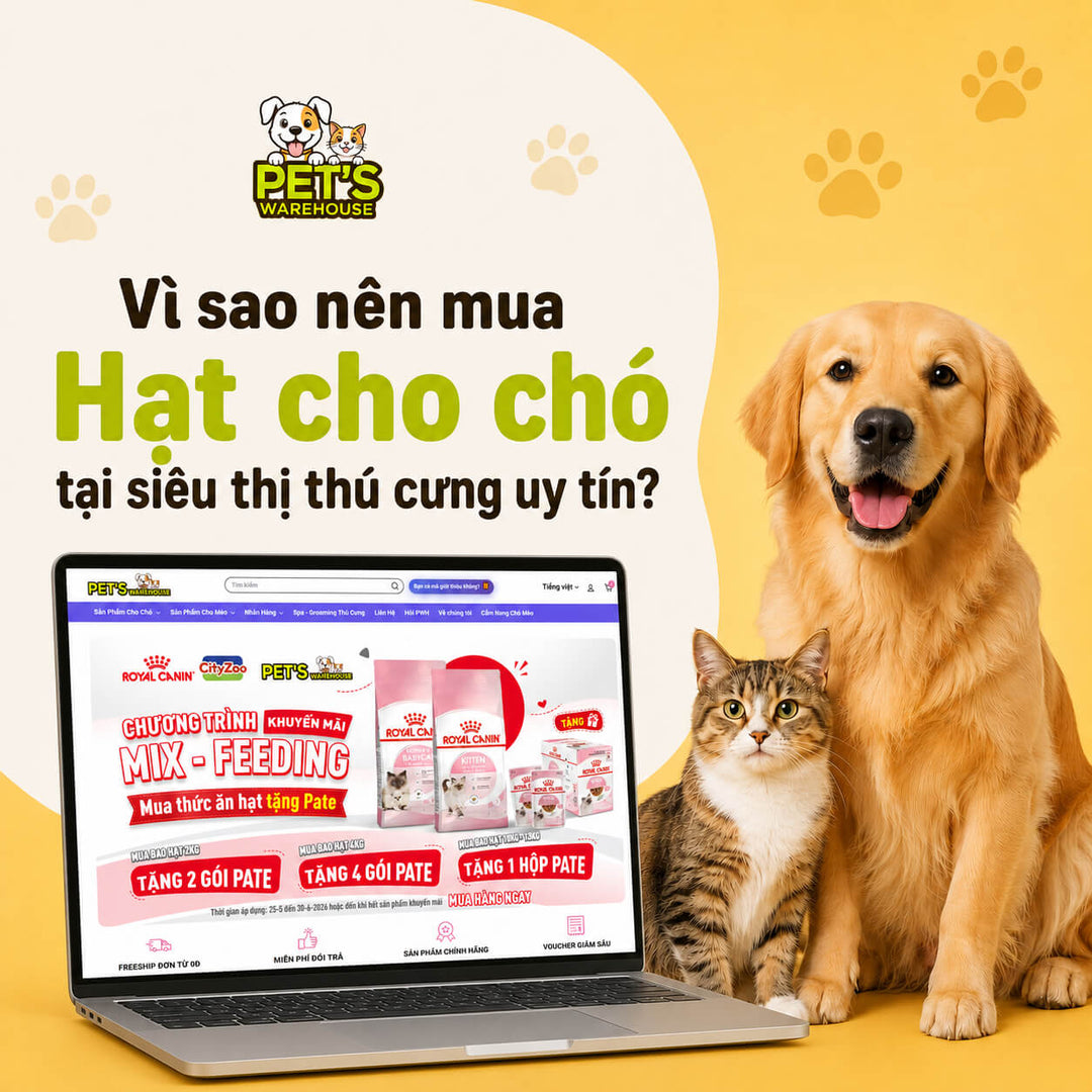Vì sao nên mua Hạt cho chó tại siêu thị thú cưng uy tín?