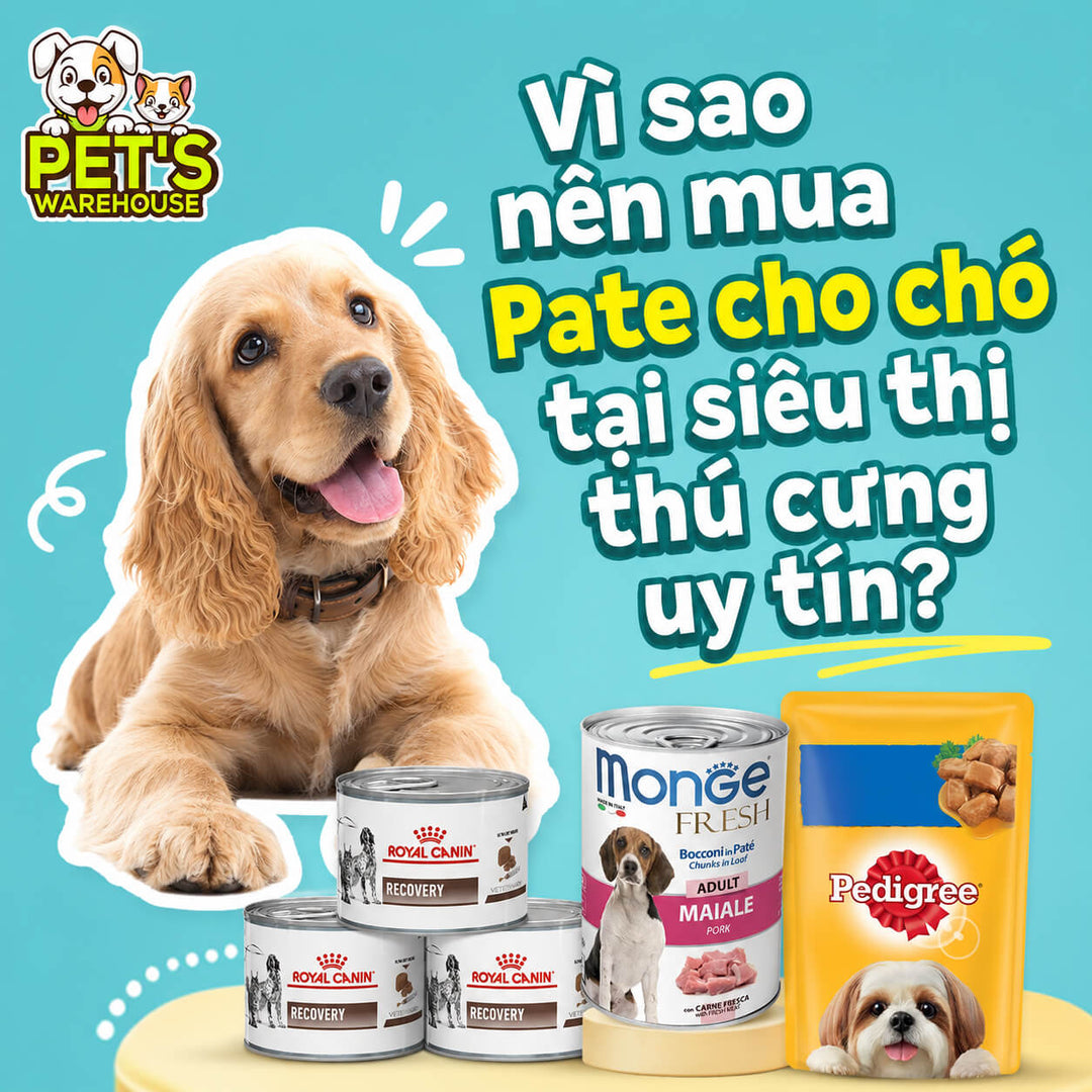 Vì sao nên mua Pate cho chó tại siêu thị thú cưng uy tín?
