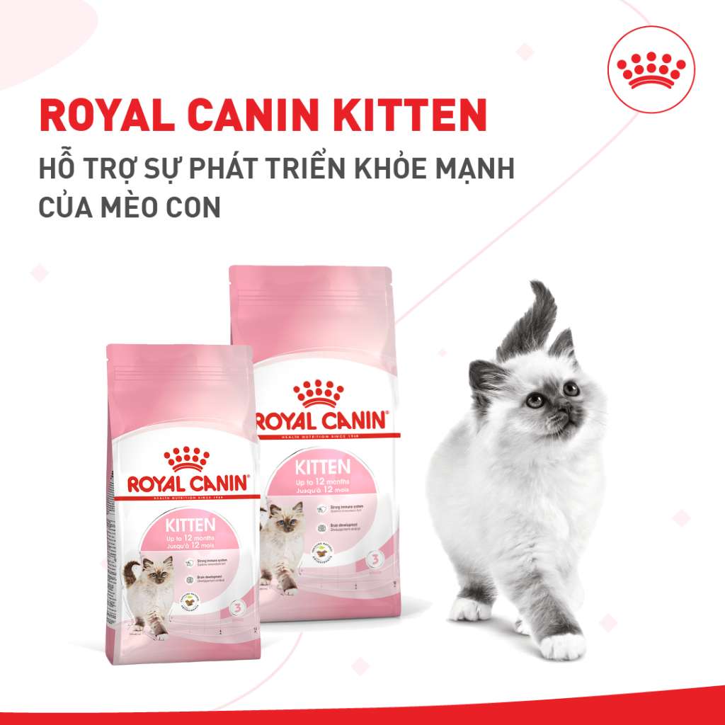 [400G - 2KG] Royal Canin Kitten