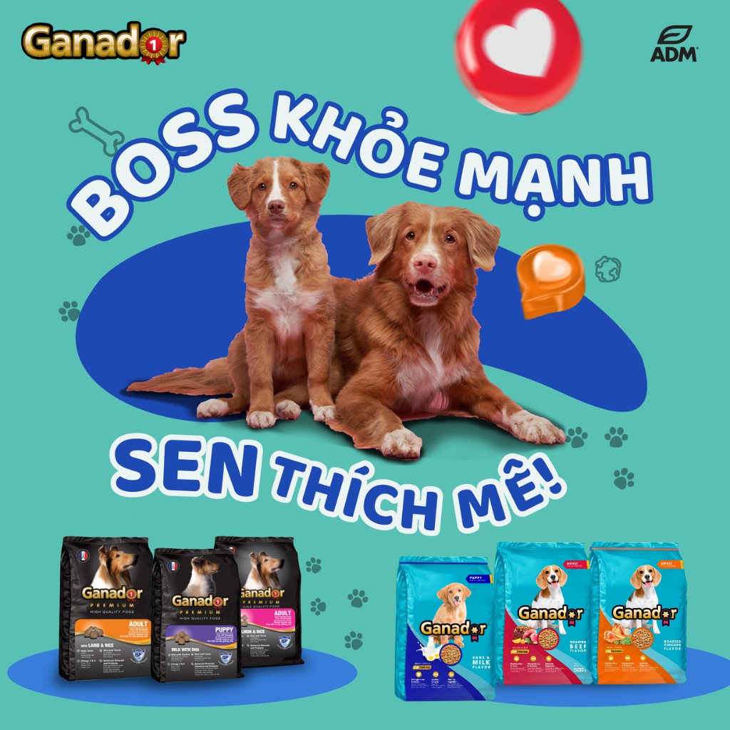 [Combo 4 Gói] Hạt Ganador Cho Chó Mọi Lứa Tuổi – Nhiều Vị Ngon, Túi 400g