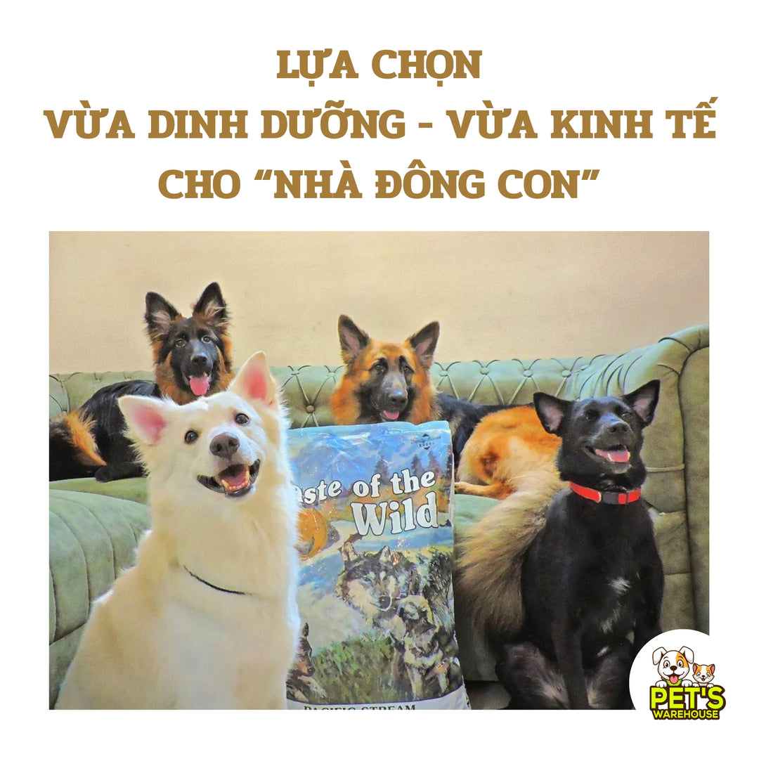 [12.2KG] Hạt Cho Chó Taste of the Wild Các Loại, Chọn Vị Theo Nhu Cầu Boss