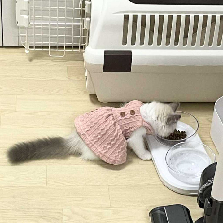 [400G - 2KG] Hạt Hữu Cơ Natural Core Mèo Con