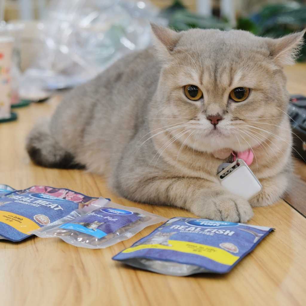 [Combo 12-24 gói] Pate Snappy Tom Real Fish Mèo 85G