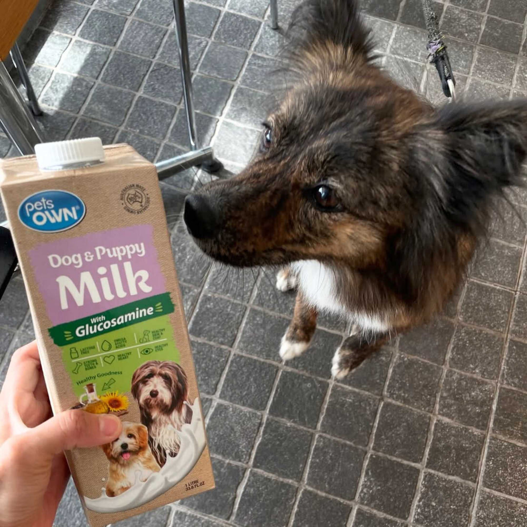 Sữa cho chó mèo Pets Own, nhập khẩu Úc, bổ sung Glucosamine, 1L