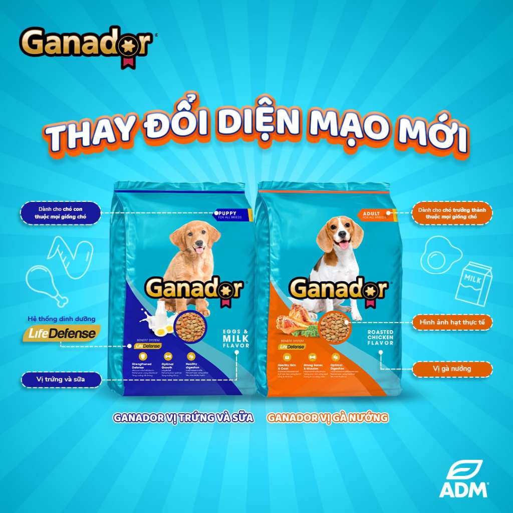 [10KG Bao Xá] Hạt Ganador Chó Mọi Lứa Tuổi | Pet's Warehouse