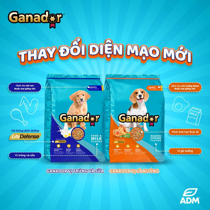 [10KG Bao Xá] Hạt Ganador Chó Mọi Lứa Tuổi | Pet's Warehouse