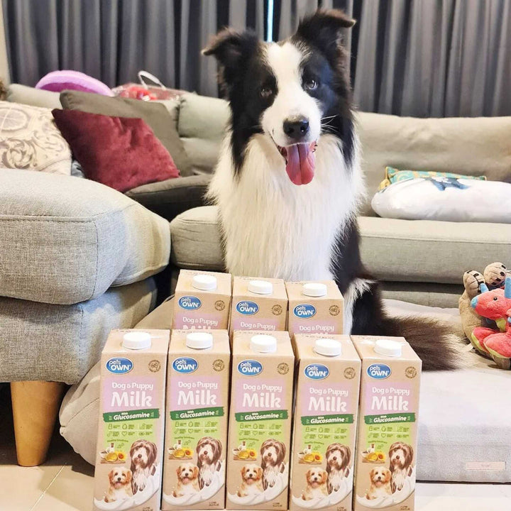 Sữa cho chó mèo Pets Own, nhập khẩu Úc, bổ sung Glucosamine, 1L