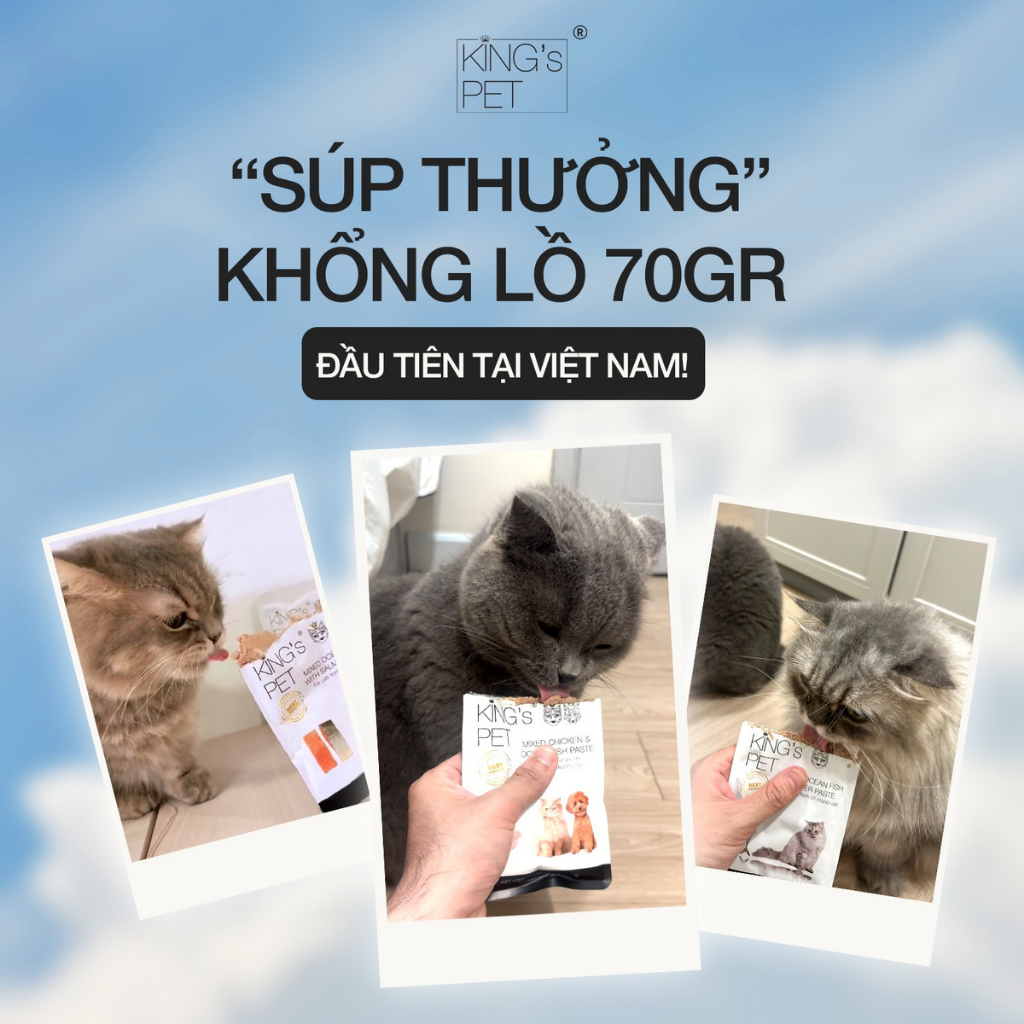 Pate King's Pet Chó Mèo Mọi Lứa Tuổi Gói 70G