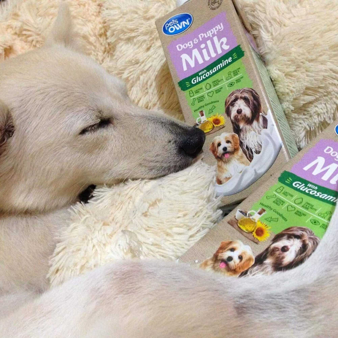 Sữa cho chó mèo Pets Own, nhập khẩu Úc, bổ sung Glucosamine, 1L