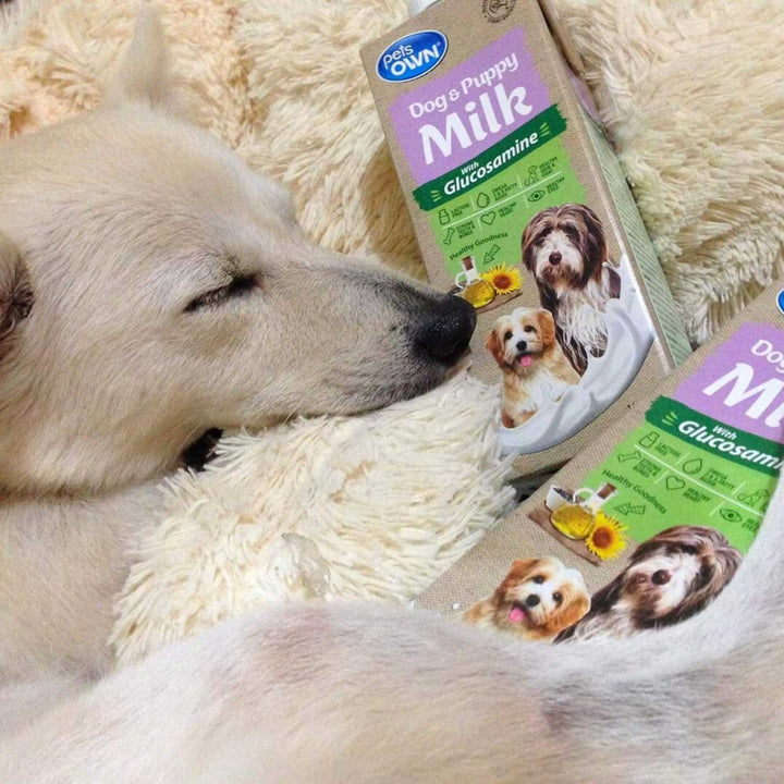 Sữa cho chó mèo Pets Own, nhập khẩu Úc, bổ sung Glucosamine, 1L