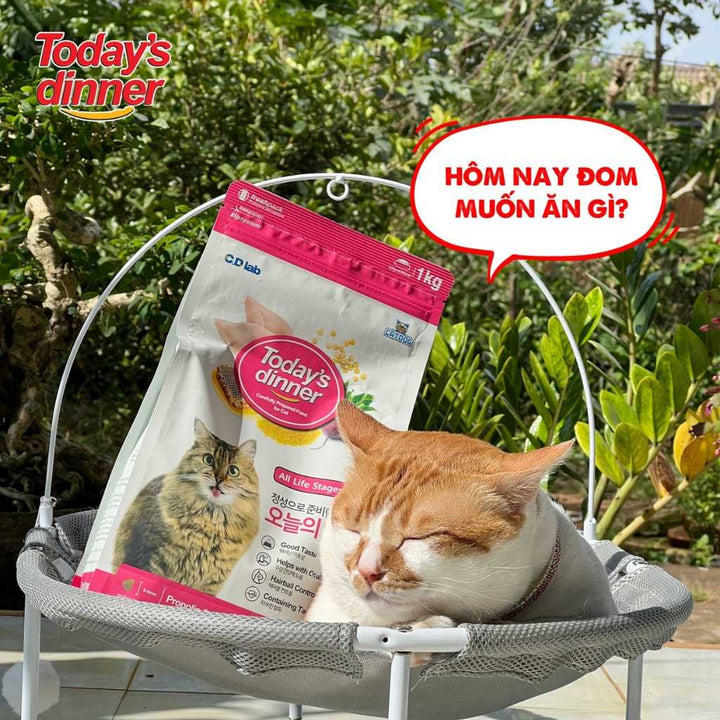 [1KG] Hạt Today's Dinner Mèo Mọi Lứa Tuổi