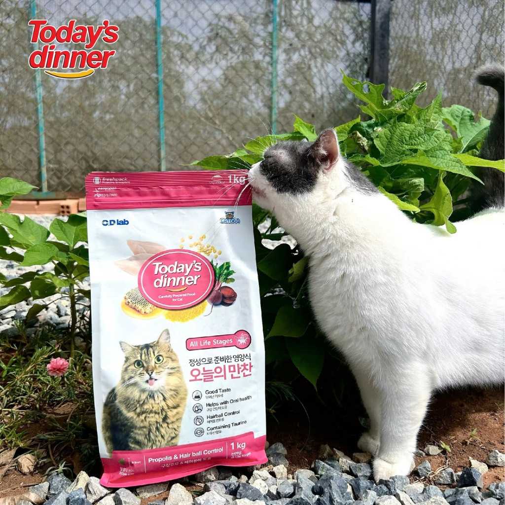 [1KG] Hạt Today's Dinner Mèo Mọi Lứa Tuổi