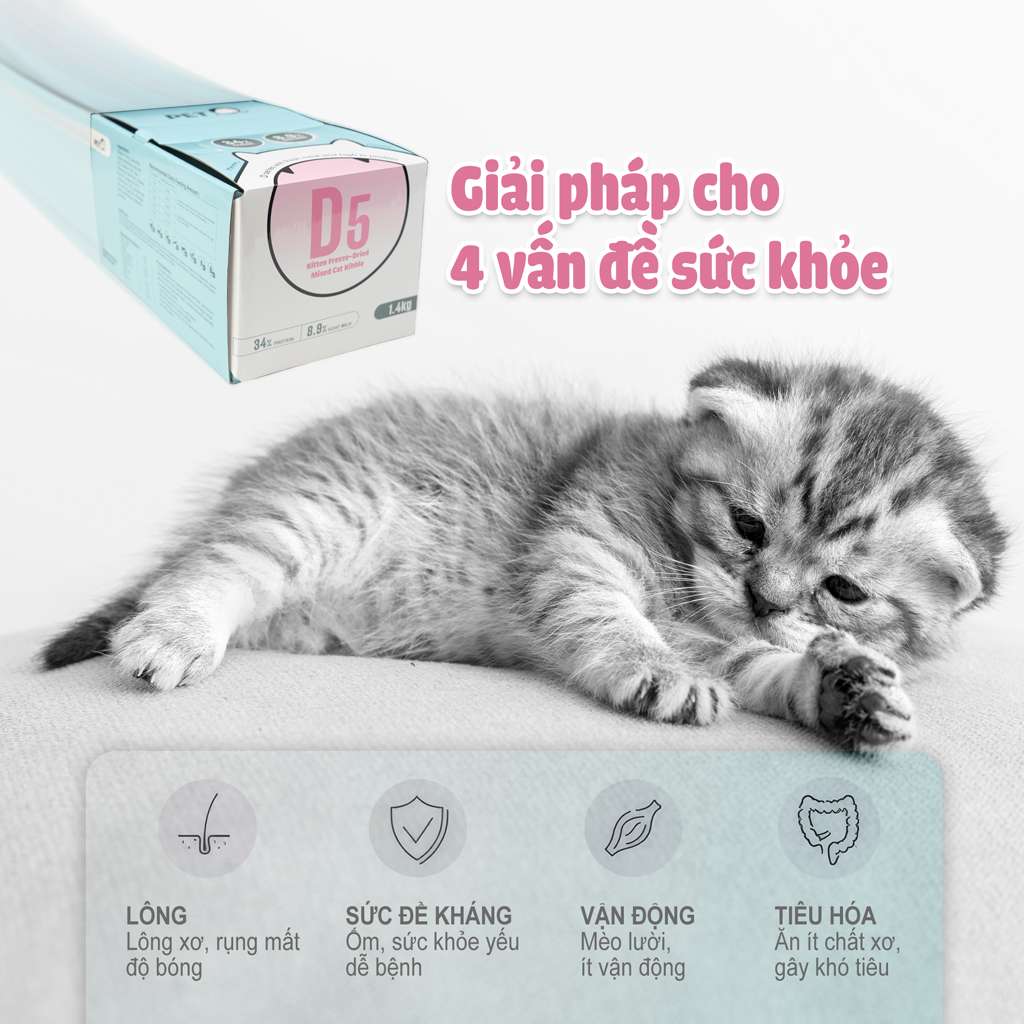 Thức Ăn Hạt Macaron D10, D5 PetQ Cho Mèo, Hộp 1.4Kg ( 7 gói x 200g)